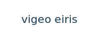 Vigeo Eiris